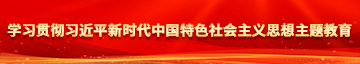 操大黑B学习贯彻习近平新时代中国特色社会主义思想主题教育